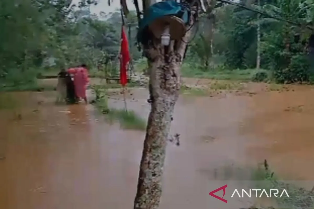 Banjir di Sukabumi rendam rumah dan lahan pertanian serta tambak