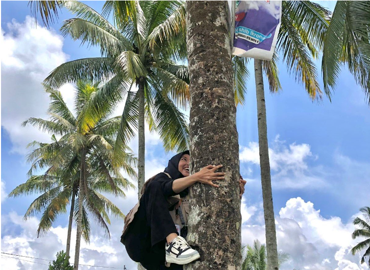 Panwas Cantik Panjat Pohon Kelapa Tertibkan APK Jadi Viral